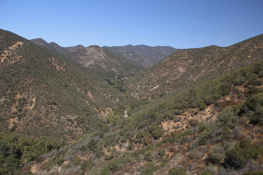 California chaparral landscape in the day