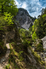 Hiking Trail Beneath Wild Mountain River In Ötschergräben in Austria