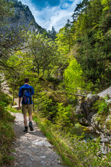 Obraz premium Young Man Hiking Beneath Clear And Wild Mountain River In Green Canyon In Ötschergräben In Austria