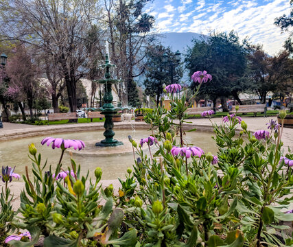 Water flowing calmly on the banks of the fountain which is surrounded by various beautiful flowers.