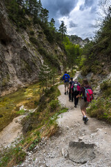 Fototapeta na wymiar People Hiking Beneath Clear And Wild Mountain River In Green Canyon In Ötschergräben In Austria