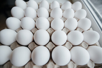 Tray of white fresh eggs close-up on a cardboard form. Agricultural industry