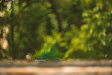 out of focus bokeh foliage nature concept background poster picture green yellow colors and frame...