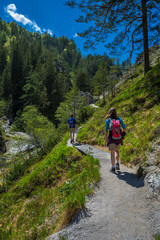 Fototapeta na wymiar Young People Walk On Mountain Hiking Trail In Ötschergräben In Austria