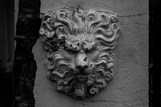 barilief image of a lion head