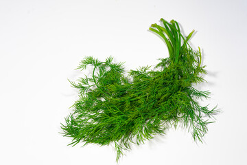 Dill close-up white background