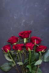 beautiful red roses as a symbol of love