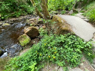 Large boulders and rocks next to a stream in, Hardcastle Crags, Hebden Bridge, Yorkshire, UK