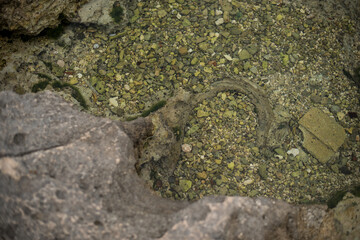 The beautiful island of Cozumel was launched as an international tourist destination more than 50 years ago, when scuba divers and beachgoers discovered its crystal clear waters 
holidays concept 