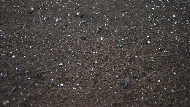 Granizo a cair na terra