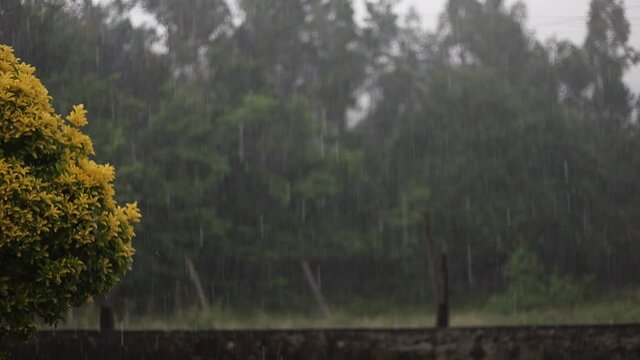 Granizo e chuva a cair