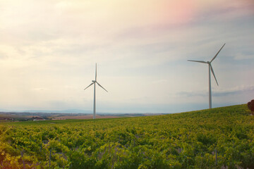 Modern windmills for power supply are installed in an open space in a field.
