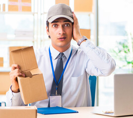 Male employee working in box delivery relocation service