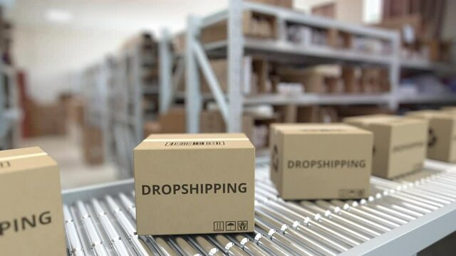Cartons with printed DROPSHIPPING text move on conveyor, looping 3d