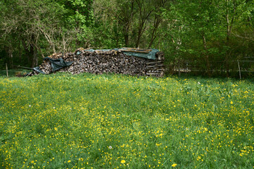 Covered firewood on orchard meadow