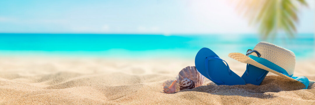 Sunny tropical beach with turquoise water, summer holidays vacation background, seashells in sand, palm tree on the beach