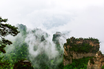 Plakat Zhangjiajie National park. Famous tourist attraction in Wulingyuan, Hunan, China. Amazing natural landscape with stone pillars quartz mountains in fog and clouds