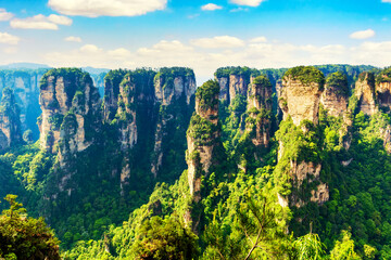 Zhangjiajie National Forest Park. Gigantic quartz pillar mountains rising from the canyon during summer sunny day. Hunan, China.