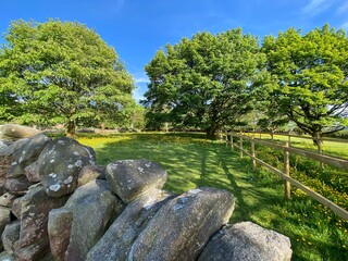 Country meadow, with flowers and dry stone walls in Midgley, Calderdale, Yorkshire UK