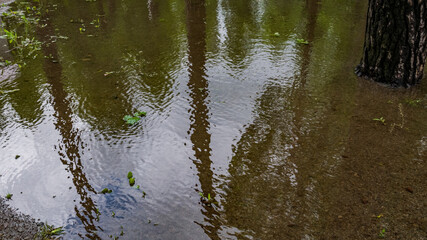 Puddle water surface with ripples. Tree and sky shadows in water reflection. Background. Close up
