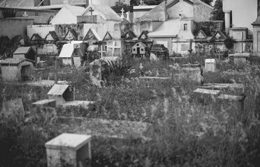Cozumel , Caribbean / Mexico - May 2017
Cemeteries in Mexico are colorful as expressions of the culture, Mexican families come to visit the souls of the departed.
