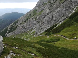 Mountain trail