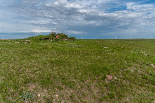 Sundial Hill Medicine Wheel in south eastern Alberta. The Sundial Hill Medicine Wheel is a religious site constructed by indigenous people of the planes. This site may be thousands of years old. 