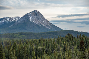 Obraz premium Beautiful large mountain in Yukon Territory, northern Canada with wilderness woods & forest in foreground. Taken off the Alaska Highway. 