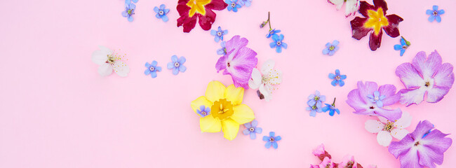 Fototapeta na wymiar Summer garden flowers frame on the pink background