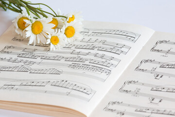 Fototapeta na wymiar music notes and flowers