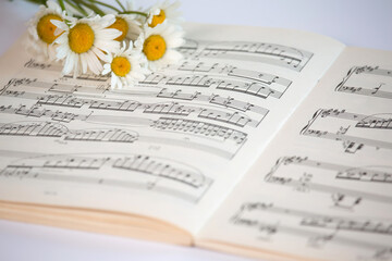 Fototapeta na wymiar music notes and flowers