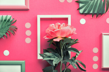 Creative flat lay with coral peony and exotic palm leaves on abstract geometric background with...
