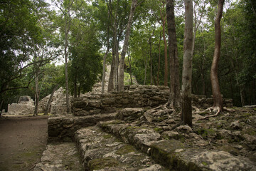 Fototapeta na wymiar Coba, Mexico Mayan archeological ruins site in the jungle, pyramid
