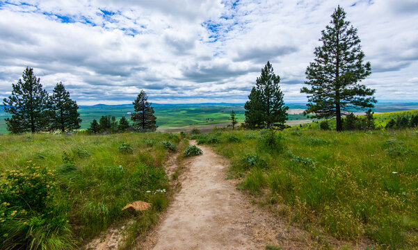 Kamiak Butte County Park | Pullman | Washington
