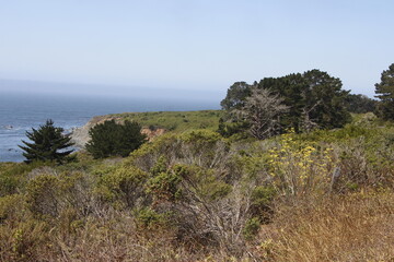 view of the coast