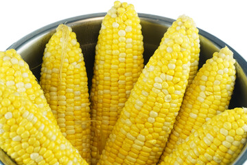 Close up on boiled corn cob inside container