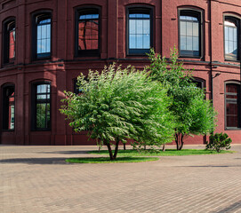 Green trees in front of the part of red brick corporate building with sky reflections in the windows. Sustainability business concept.