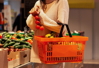 Girl holds a branch of tomatoes in her right hand and an orange basket  full of fruits in her left...