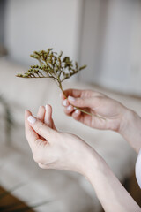 plant, hand, growth, nature, green, leaf, tree, life, hands, isolated, new, human, agriculture, care, holding, environment, ecology, protection, white, small, seedling, gardening, woman, flower, sprou