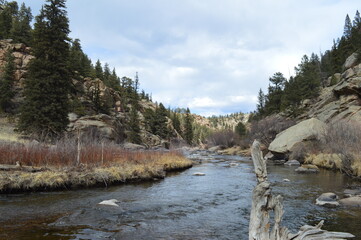 Fototapeta na wymiar River in National Forest in Colorado