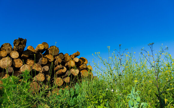 Holzscheitel Landschaft 1