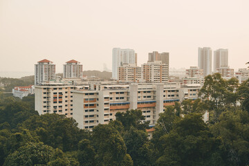 Fototapeta na wymiar wide angle view of housing apartments in singapore amidst trees