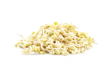 Bean Sprouts  isolated on white background