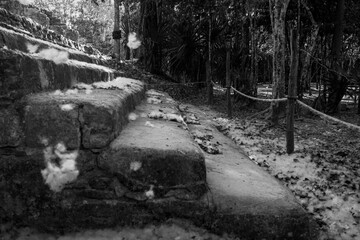 Fototapeta na wymiar Details of Mayan ruins at Coba Mexican archeological site