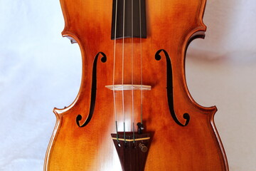 Viola Classica musical instrument gasparo da salò