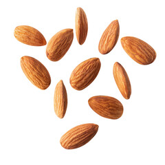 full almond fly on white isolated with clipping path