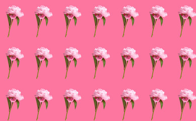 Fototapeta premium Many beautiful peony flowers on color background