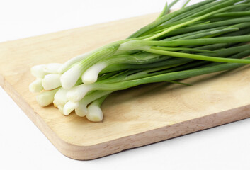 Green Garlic on white background
