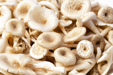 fresh whole mushrooms on white background