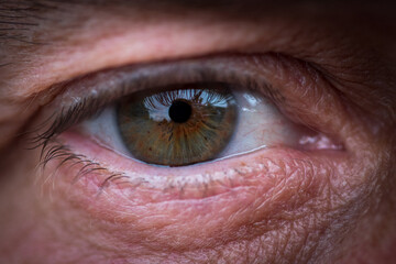 close up of human eye